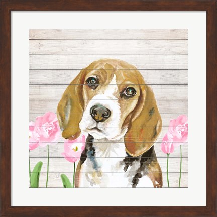 Framed Beagle With Flowers Print
