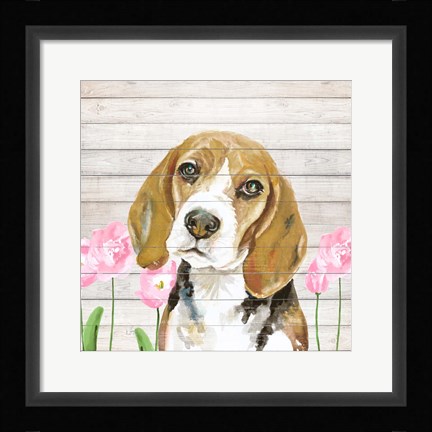 Framed Beagle With Flowers Print