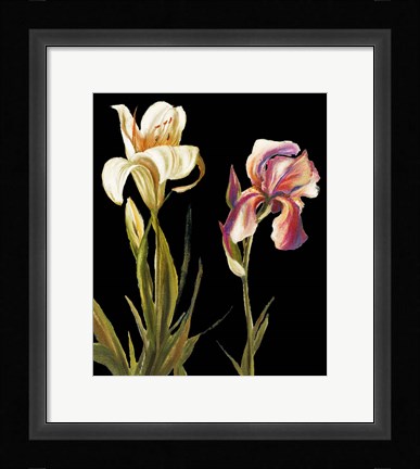 Framed Garden at Night II Print