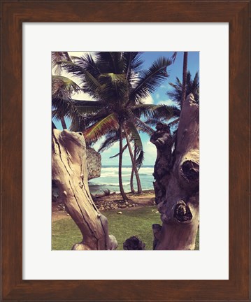 Framed Oceanside Palms Print
