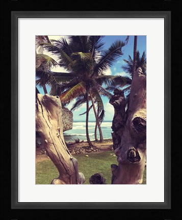 Framed Oceanside Palms Print