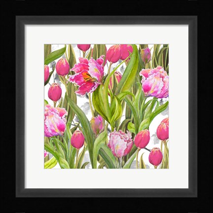Framed Tulip Symphony I Print