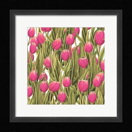 Framed Tulip Symphony II Print