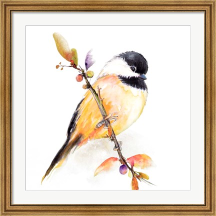 Framed Watercolor Chickadee I Print