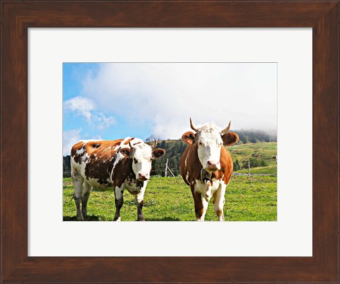 Framed Country Cows Print