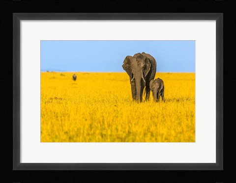 Framed Vibrant Africa Print