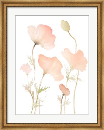 Framed Early Summer Poppies I Print