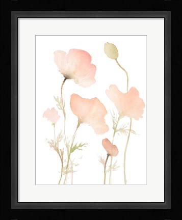Framed Early Summer Poppies I Print