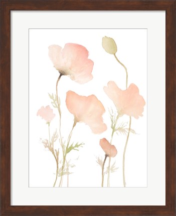 Framed Early Summer Poppies I Print