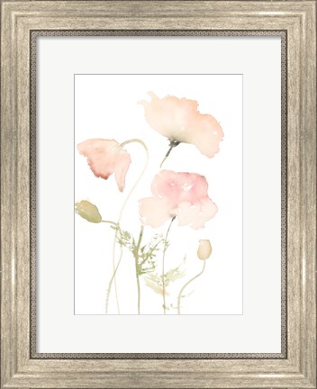 Framed Early Summer Poppies II Print