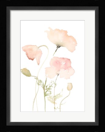 Framed Early Summer Poppies II Print