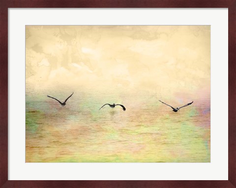 Framed Seagulls In The Sky I Print