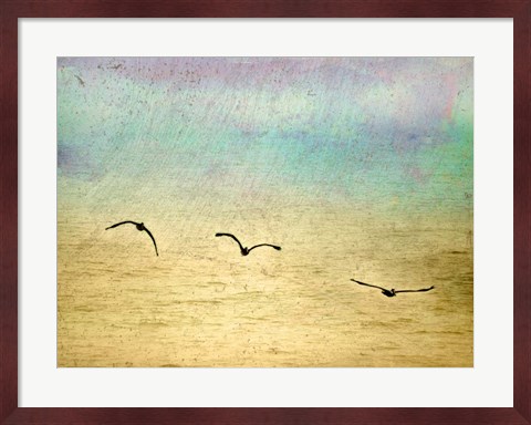Framed Seagulls In The Sky II Print