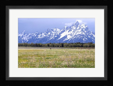 Framed Foothills Print