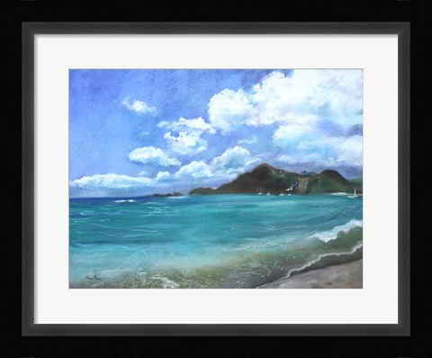 Framed Caribbean Splendor Print