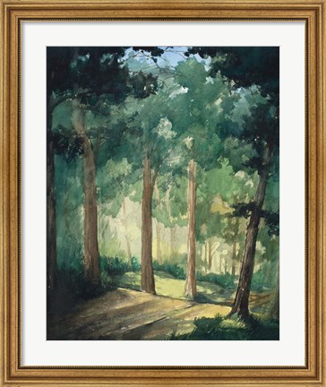 Framed Walk In The Woods Print