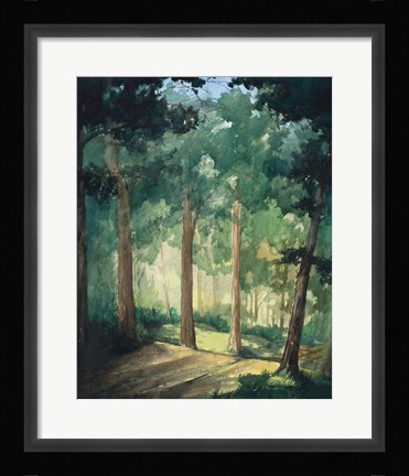 Framed Walk In The Woods Print
