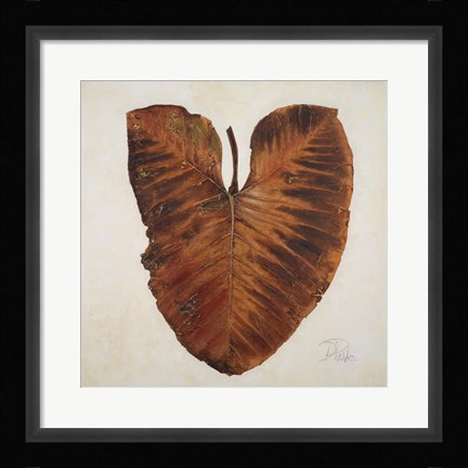 Framed Amazonas I Print