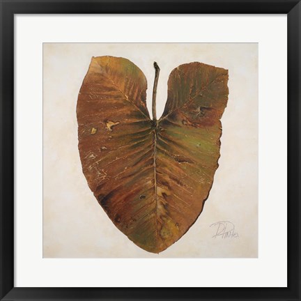 Framed Amazonas II Print