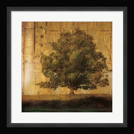 Framed Aged Tree I Print