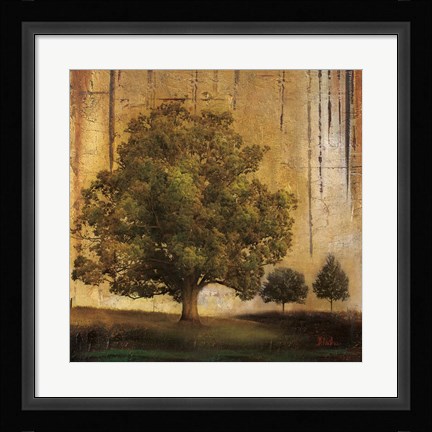 Framed Aged Tree II Print