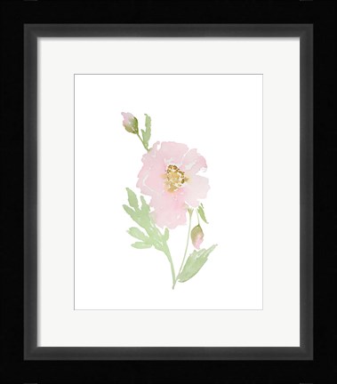 Framed Garden Of Joy II Print