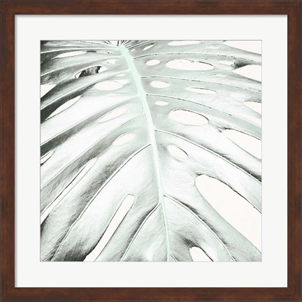 Framed Summer Palm Print
