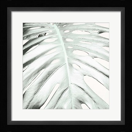 Framed Summer Palm Print