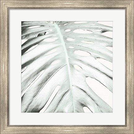 Framed Summer Palm Print