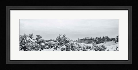 Framed Villa View Light Crop Print