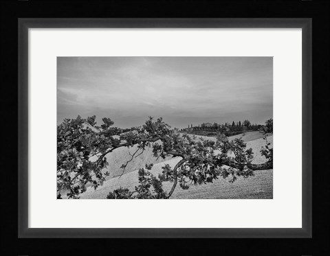 Framed Villa View Print