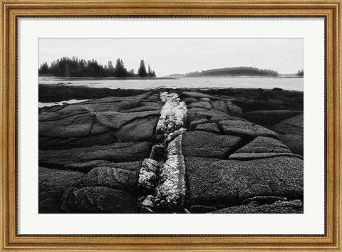 Framed Stony Shore Print