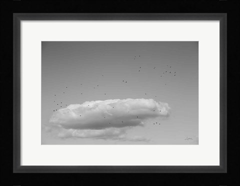 Framed Flock in Flight Print