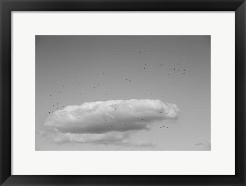 Framed Flock in Flight Print