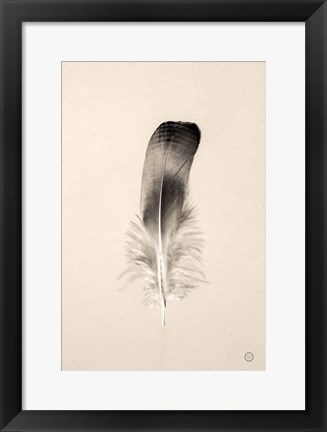 Framed Floating Feathers IV Sepia Print