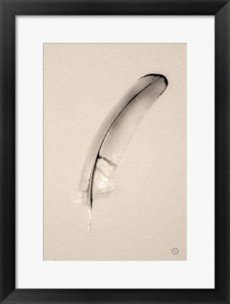 Framed Floating Feathers III Sepia Print