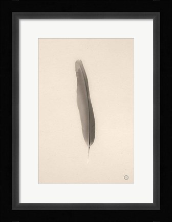 Framed Floating Feathers II Sepia Print