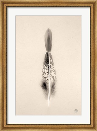 Framed Floating Feathers I Sepia Print