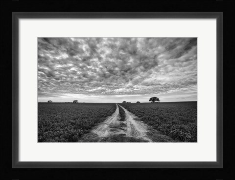 Framed Farm Road Print