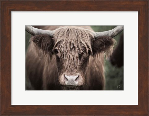Framed Cow Nose Light Print