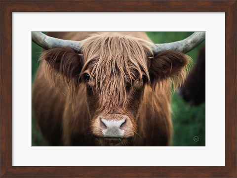 Framed Cow Nose Print