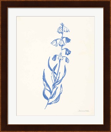 Framed Bluebells II Print