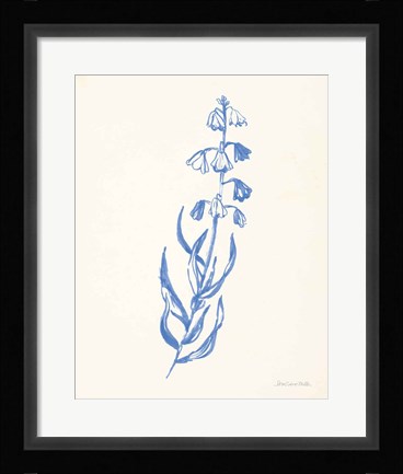 Framed Bluebells II Print