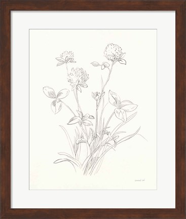Framed Nature Sketchbook VIII Print