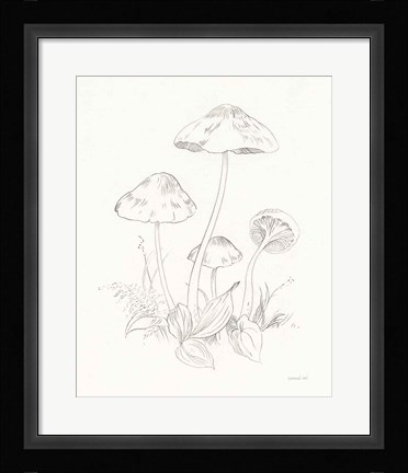 Framed Nature Sketchbook III Print