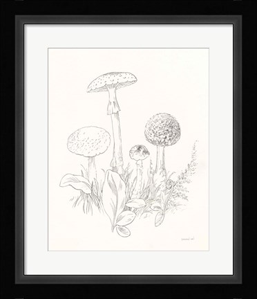 Framed Nature Sketchbook II Print