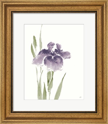 Framed Japanese Iris III Purple Crop Print