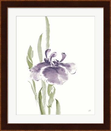 Framed Japanese Iris II Purple Crop Print