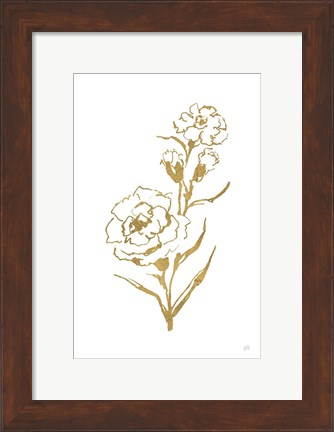 Framed Gold Line Carnation III Print