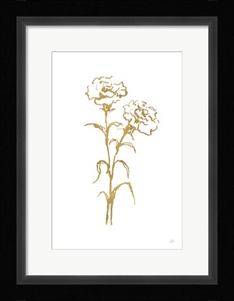 Framed Gold Line Carnation II Print